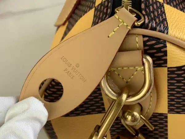 Louis Vuitton SPEEDY 25