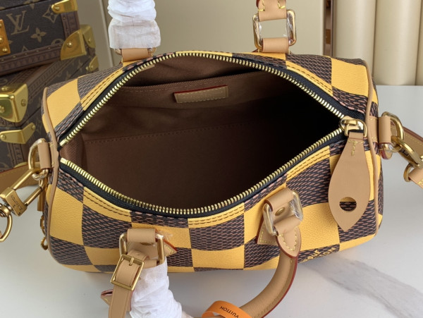 Louis Vuitton SPEEDY 25