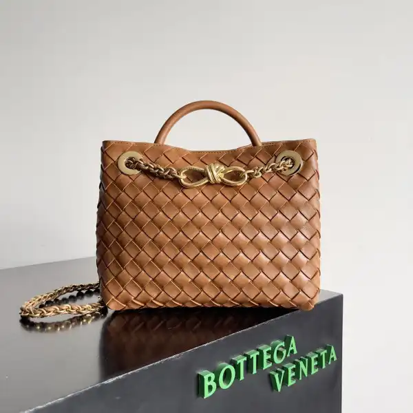 Bottega Veneta Small Andiamo Chain-25*22*10.5cm