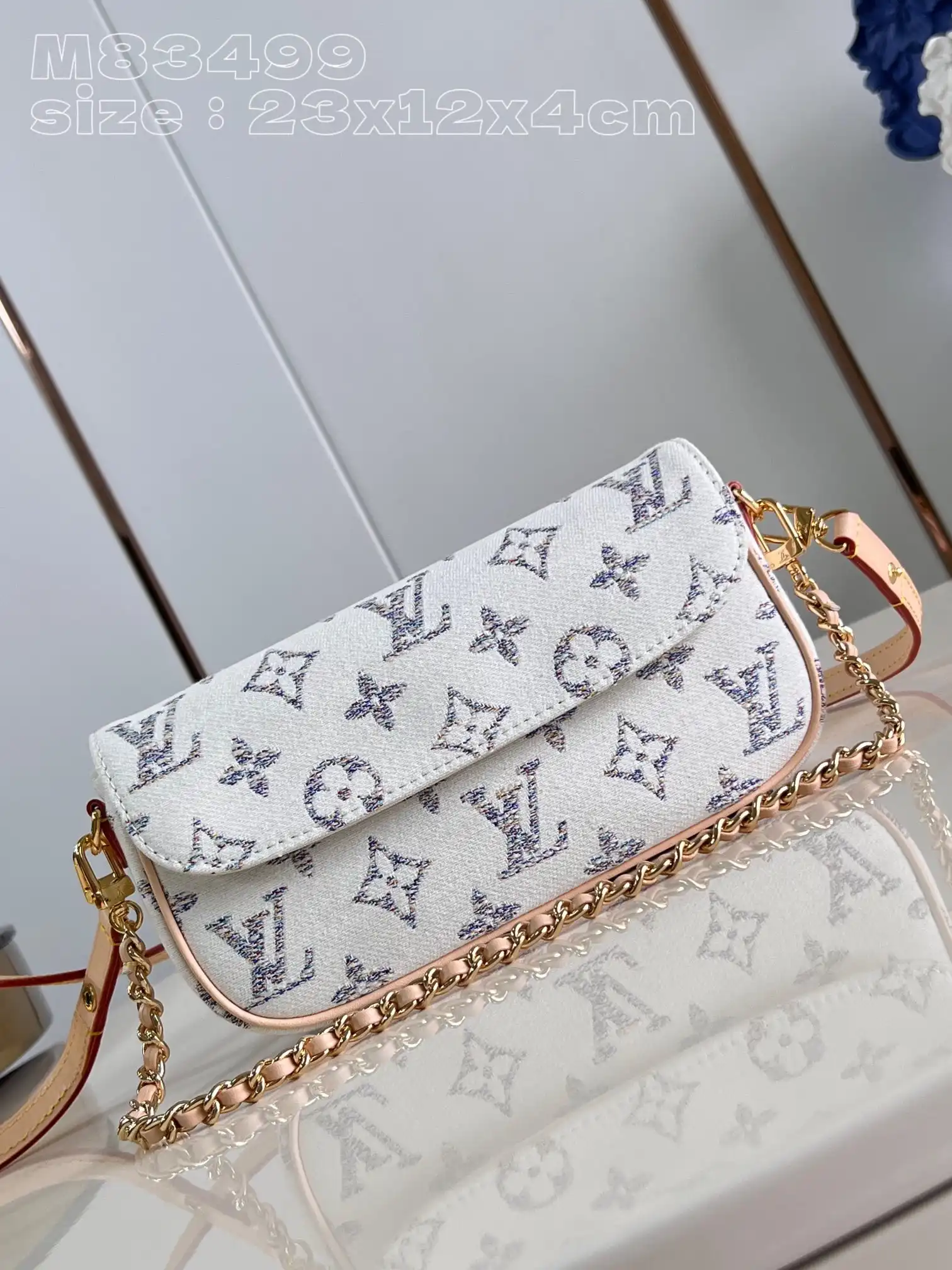 First bag ru LOUIS VUITTON Wallet on Chain Ivy-23.5*12*4.3cm