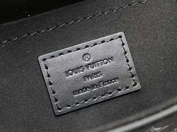 LOUIS VUITTON Camera Box Monogram Canvas