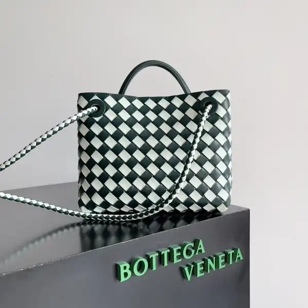 First bag ru BOTTEGA VENETA SMALL ANDIAMO-25*22*10.5cm