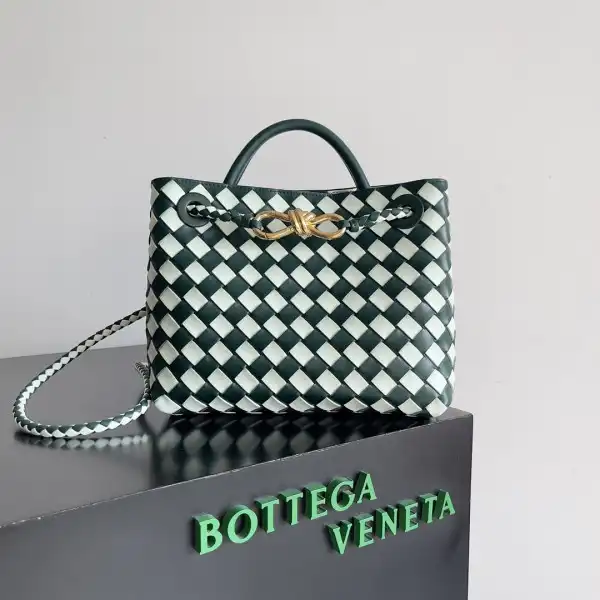 Yupoo bagsoffer BOTTEGA VENETA SMALL ANDIAMO-25*22*10.5cm