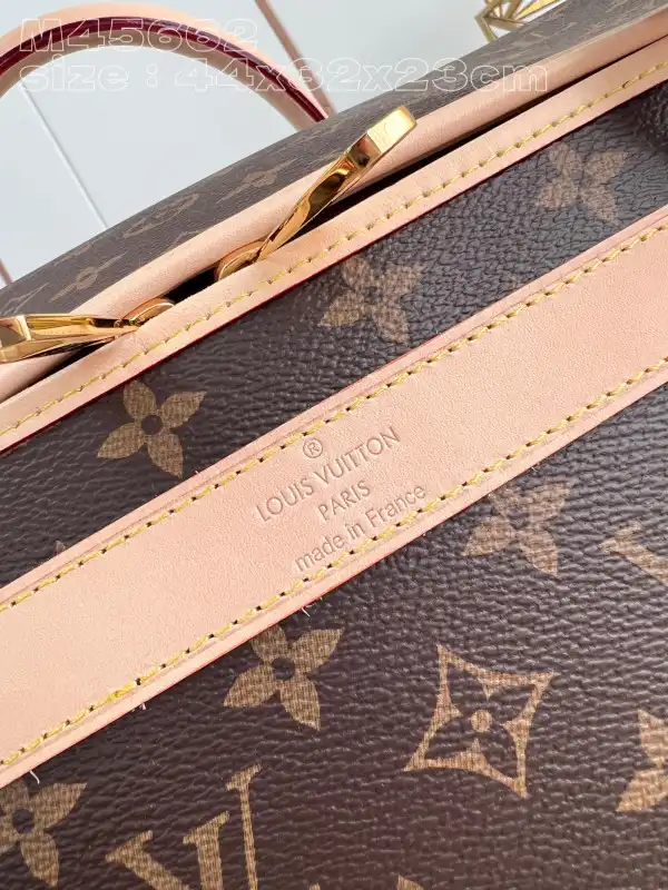 Rep LOUIS VUITTON Dog Bag-44*32*23CM