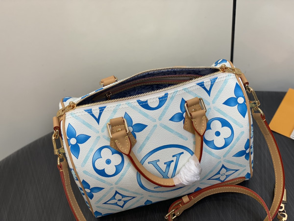 HOT SALE Louis Vuitton SPEEDY 25