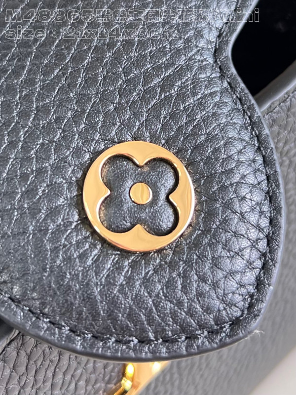 LOUIS VUITTON CAPUCINES MINI-21*14*8CM