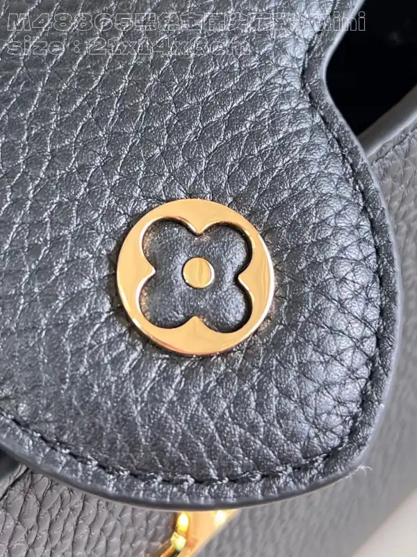 Rep LOUIS VUITTON CAPUCINES MINI-21*14*8CM