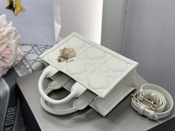 HOT SALE dior MINI BOOK TOTE-21.5*13*7.5CM