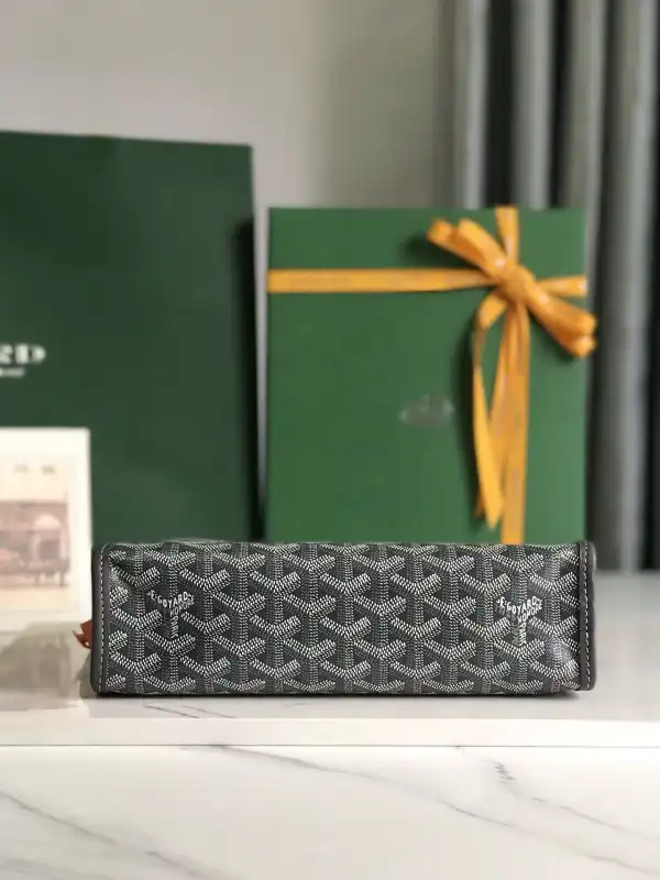 Goyard Jouvence Toiletry Bag MM