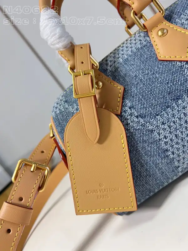 Rep LOUIS VUITTON NANO SPEEDY-16-10-7.5cm