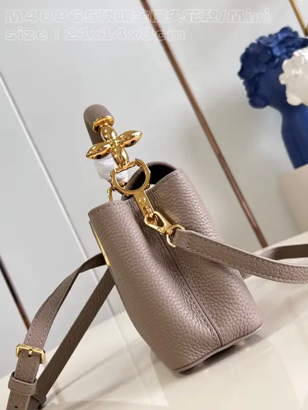 How to buy Cheap LOUIS VUITTON CAPUCINES MINI-21*14*8CM