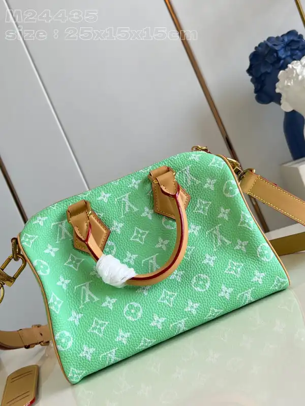 Louis Vuitton SPEEDY 25