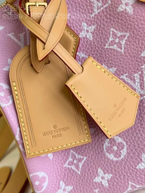 Louis Vuitton SPEEDY 25