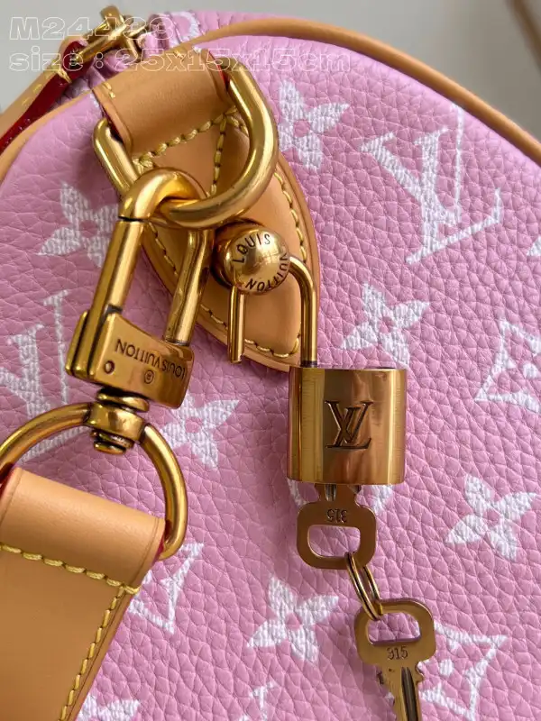 Louis Vuitton SPEEDY 25