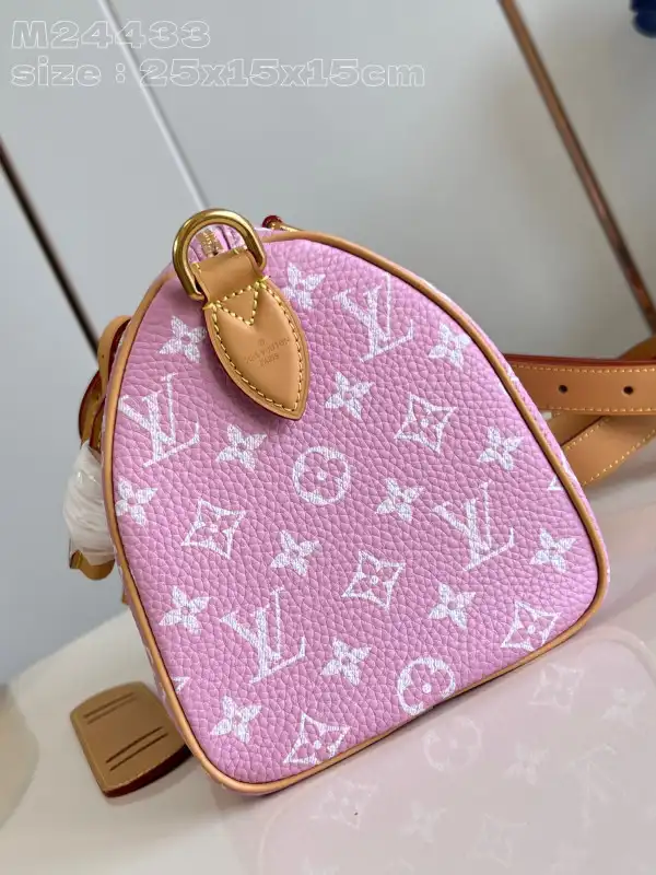 First bag ru Louis Vuitton SPEEDY 25