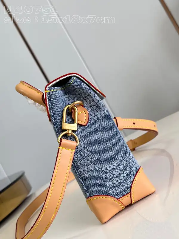 Affordable LOUIS VUITTON Nano Steamer