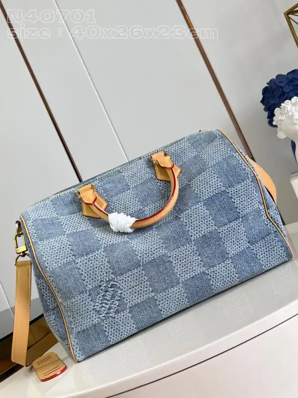 Louis Vuitton SPEEDY 40