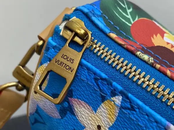 Louis Vuitton SPEEDY 25