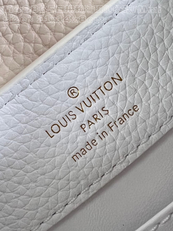 HOT SALE LOUIS VUITTON CAPUCINES MINI-21*14*8CM