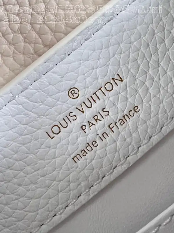 Affordable LOUIS VUITTON CAPUCINES MINI-21*14*8CM