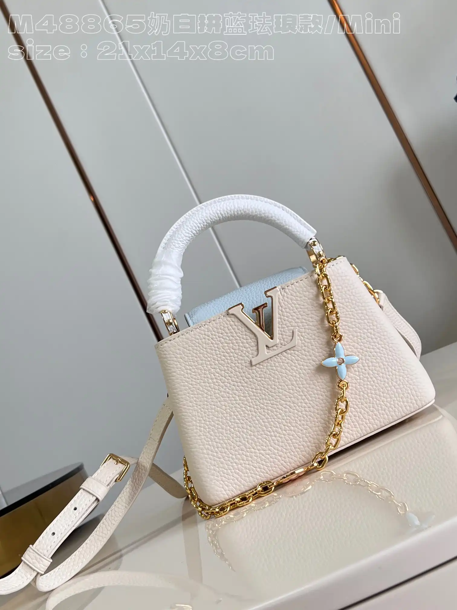 First bag ru LOUIS VUITTON CAPUCINES MINI-21*14*8CM