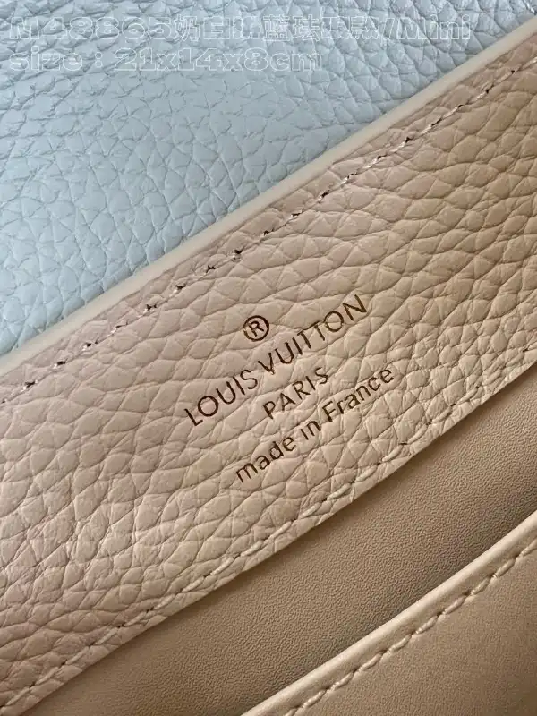 LOUIS VUITTON CAPUCINES MINI-21*14*8CM