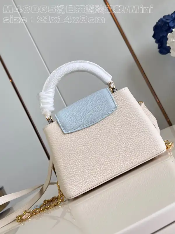 Rep LOUIS VUITTON CAPUCINES MINI-21*14*8CM