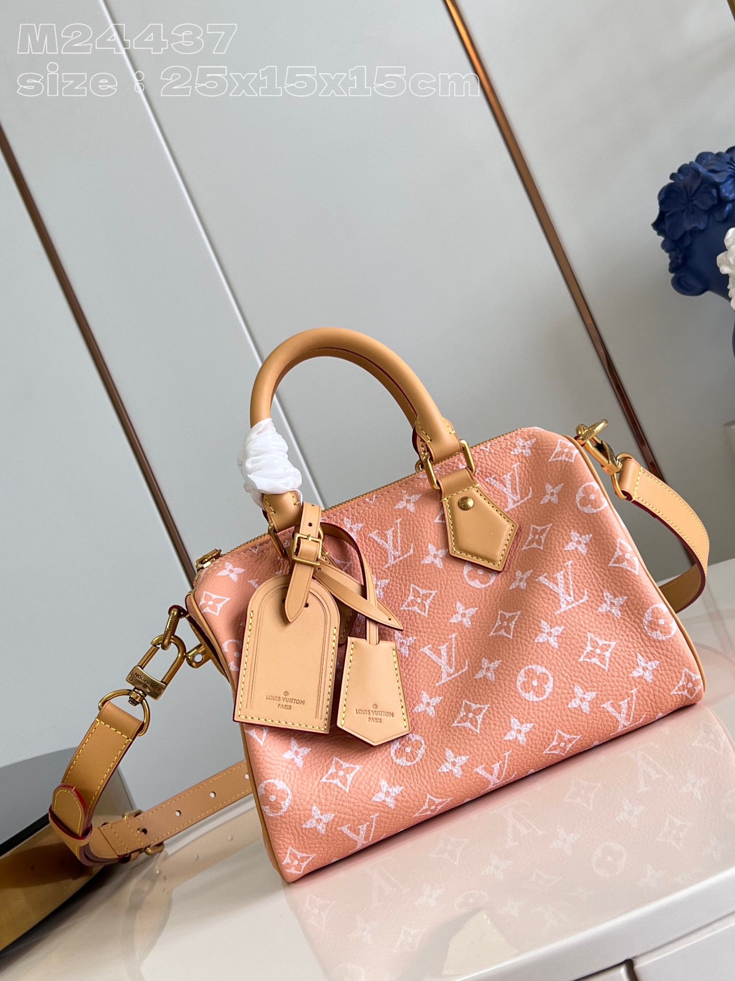 HOT SALE Louis Vuitton SPEEDY 25