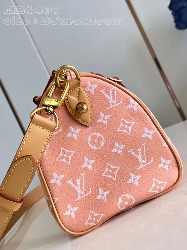 Repladies offers premium fake Louis bags at unbeatable prices. Our products are cheap because we focus on direct sales Louis Vuitton SPEEDY 25