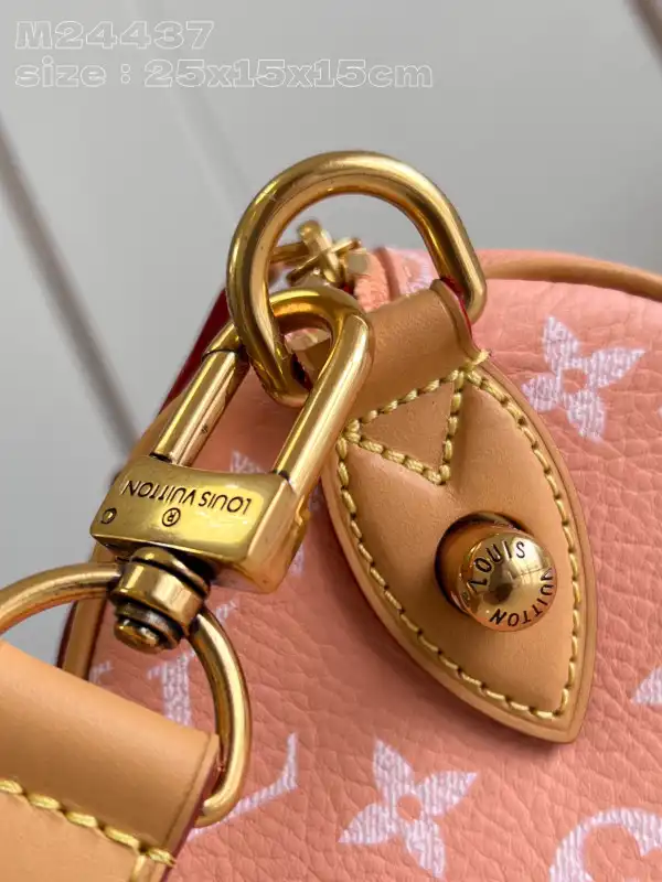 Louis Vuitton SPEEDY 25