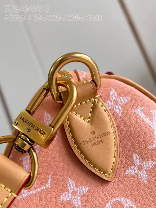 Louis Vuitton SPEEDY 25