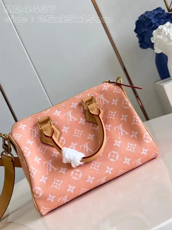 Louis Vuitton SPEEDY 25