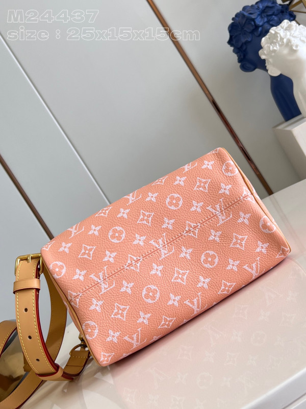 HOT SALE Louis Vuitton SPEEDY 25