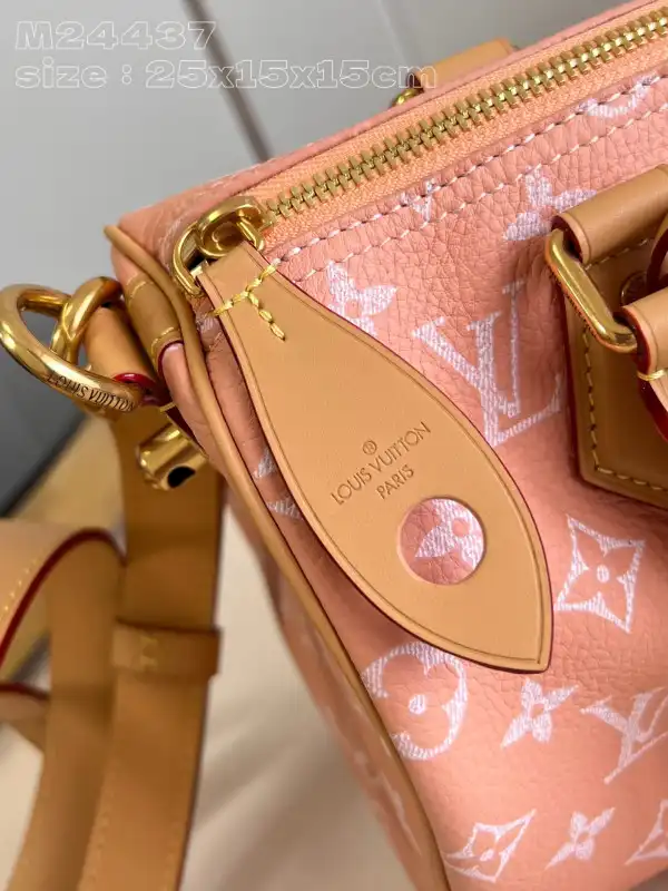 Louis Vuitton SPEEDY 25