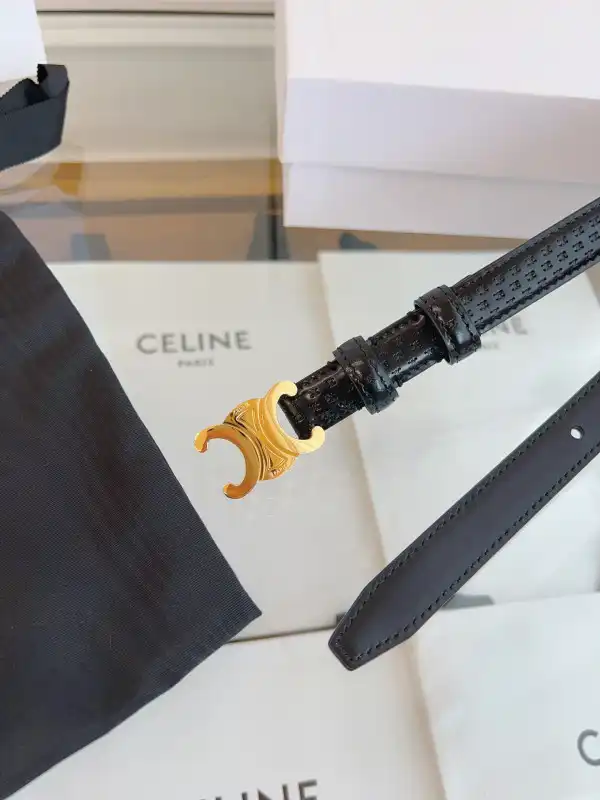 CELIN* BELT-GOLD SILVER