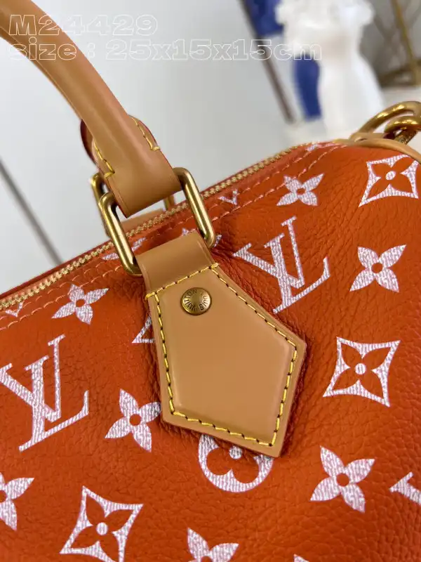 Louis Vuitton SPEEDY 25