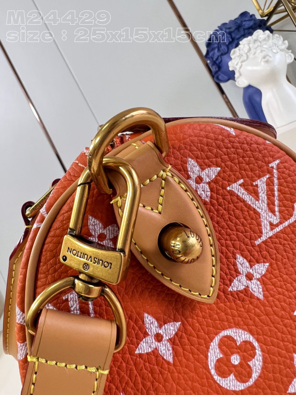 HOT SALE Louis Vuitton SPEEDY 25