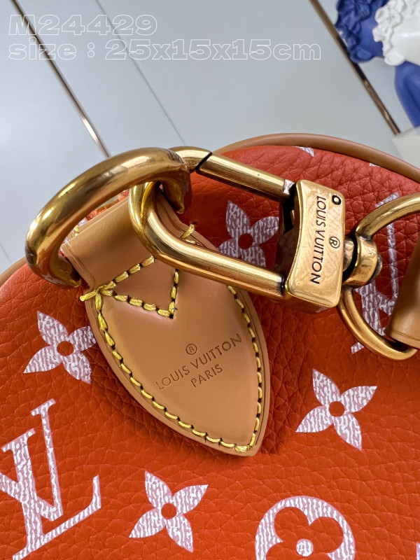 HOT SALE Louis Vuitton SPEEDY 25