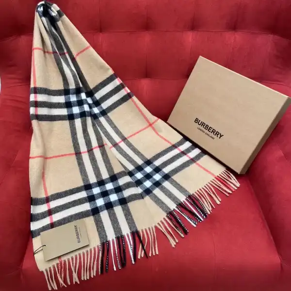 Burberry Scarf