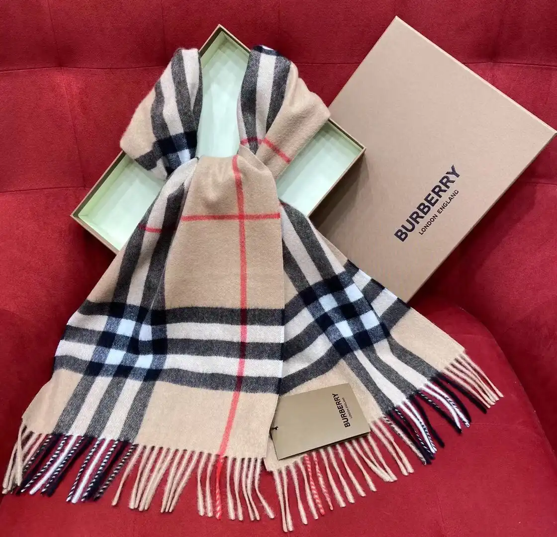 Burberry Scarf