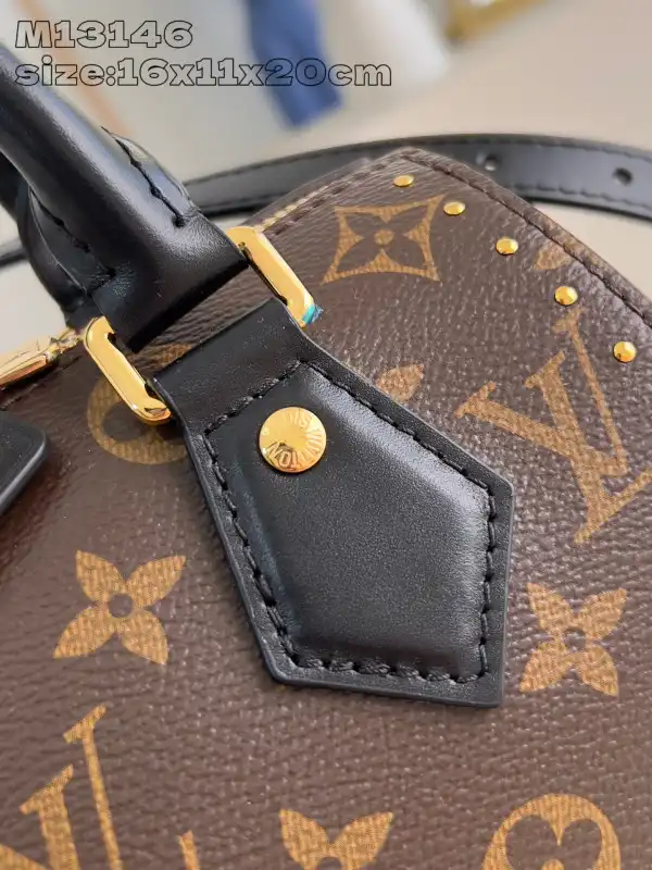 Louis Vuitton Speedy Trunk 20