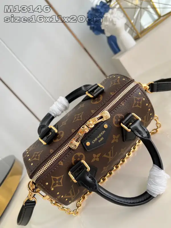 Affordable Louis Vuitton Speedy Trunk 20