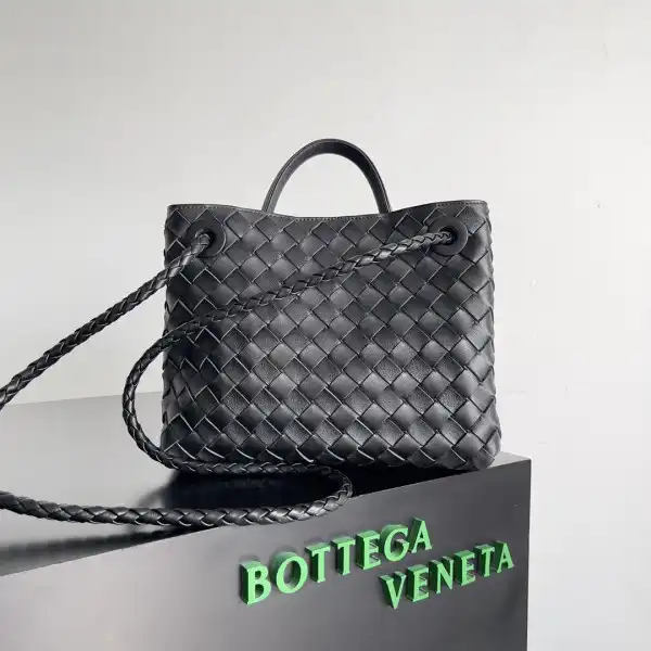 First bag ru BOTTEGA VENETA SMALL ANDIAMO-25*22*10.5cm