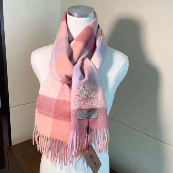 Bagsoffer Burberry Scarf