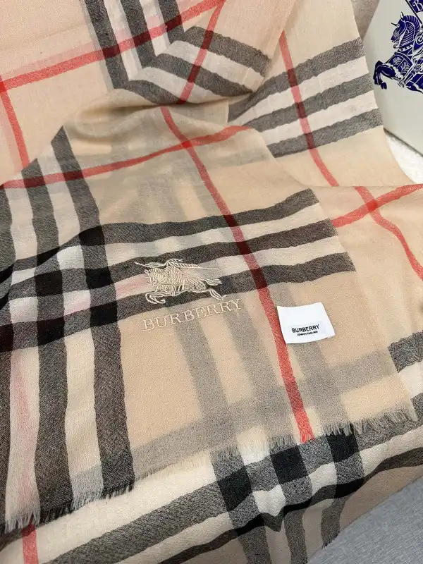 First bag ru Burberry Scarf