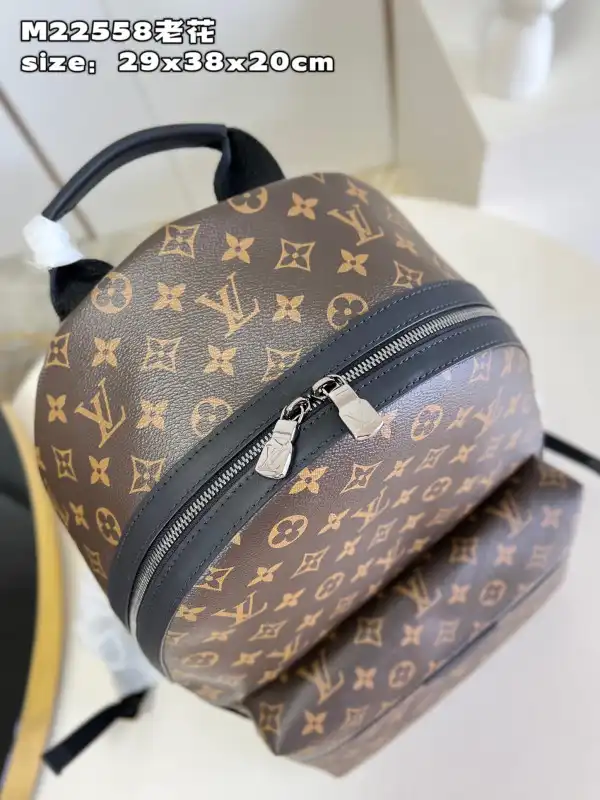 Affordable Louis Vuitton Discovery Backpack PM-29*38*20CM