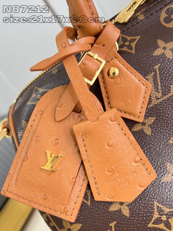 HOT SALE Louis Vuitton Speedy Soft 30 Boho