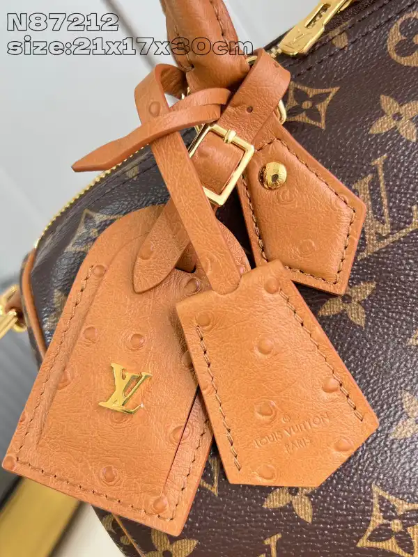 Louis Vuitton Speedy Soft 30 Boho