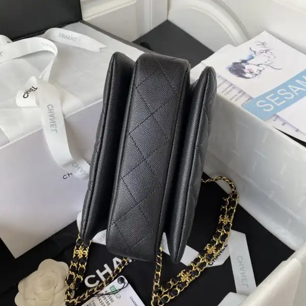 CHANEL FLAP BAG