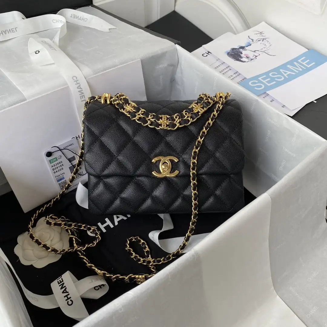 CL FLAP BAG